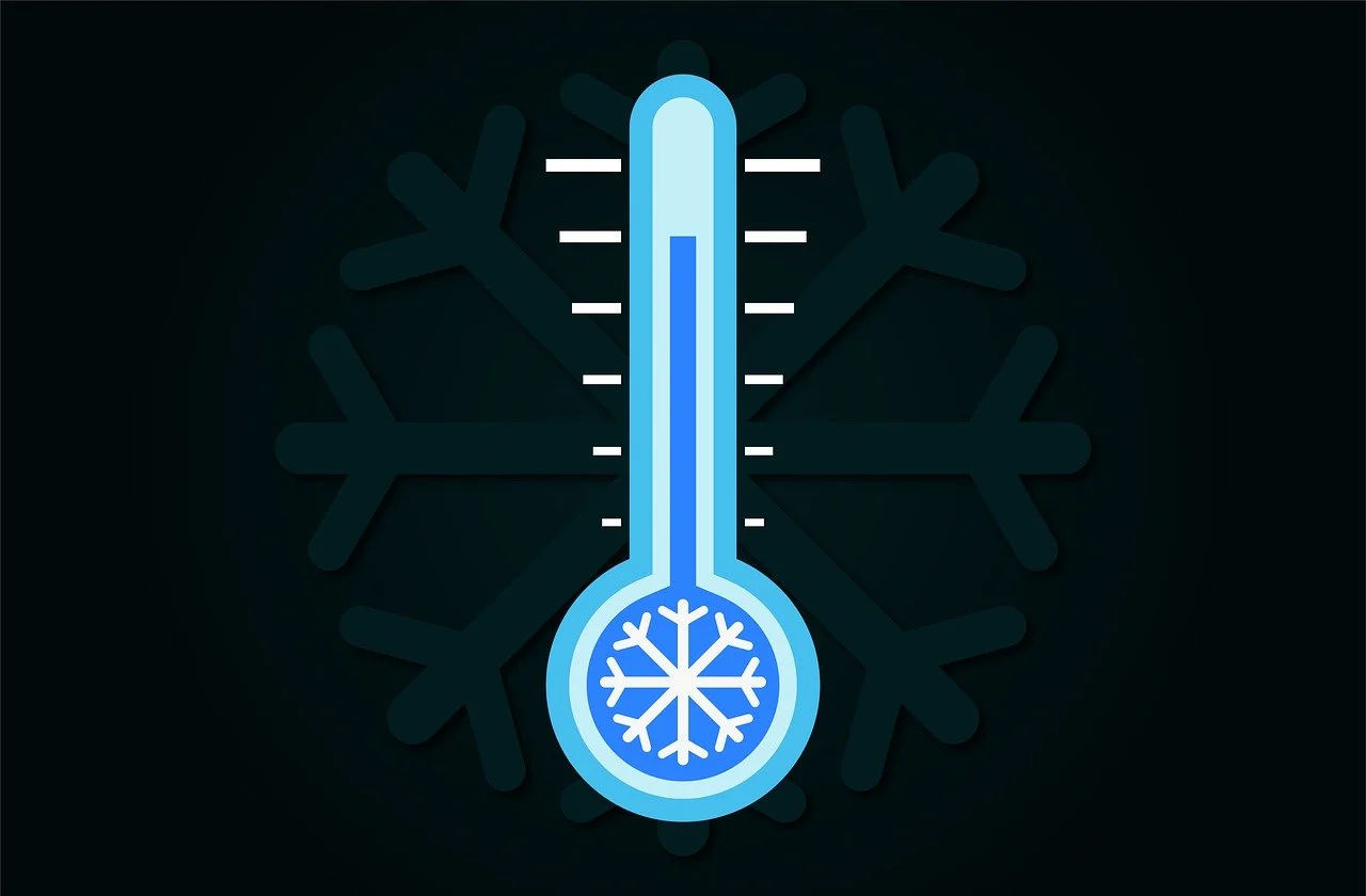 resetare termostat logictherm